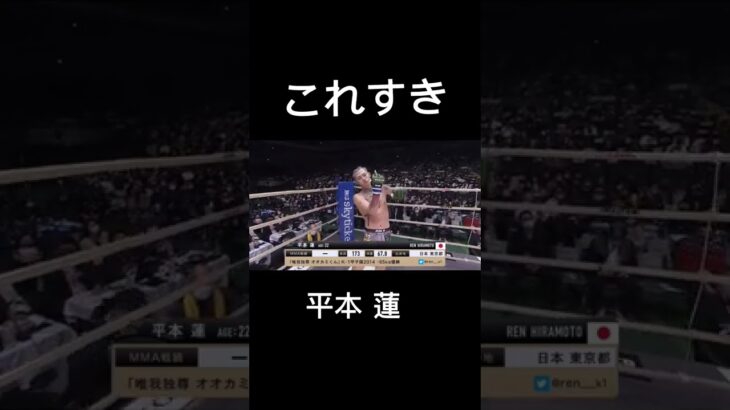 この挑発大好き#平本蓮 #rizin #切り抜き