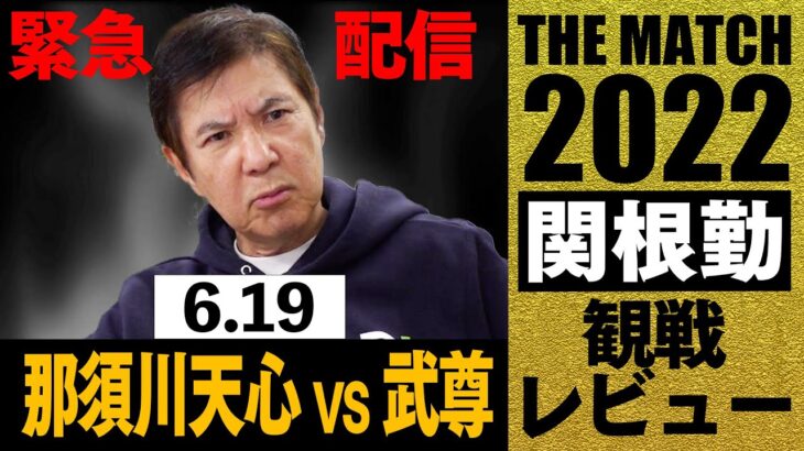 【那須川天心vs武尊】THE MATCH 2022 観戦レビュー