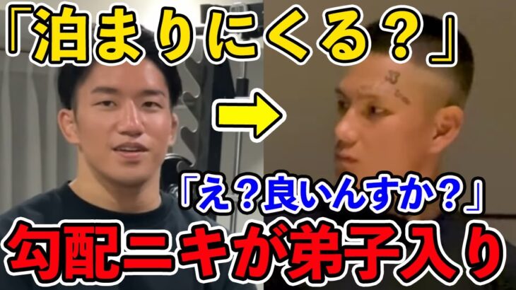 【朝倉海】勾配ニキが朝倉海へ弟子入り。一か月間事務所で寝泊りする生活へ【切り抜き 】