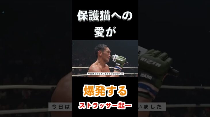 RIZIN 切り抜き 天国に届けるストラッサー起一