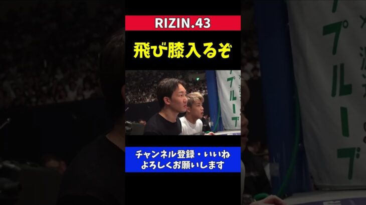 朝倉未来 飛びヒザ指示直後に西谷大成がKOされた瞬間【RIZIN.43】