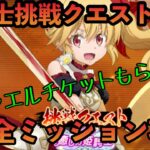 まおりゅう攻略　姫騎士挑戦クエスト　ミッション攻略