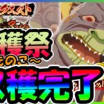 【まおりゅう】キノコ狩り完了！100万金貨はかなり助かるよね【無課金攻略】