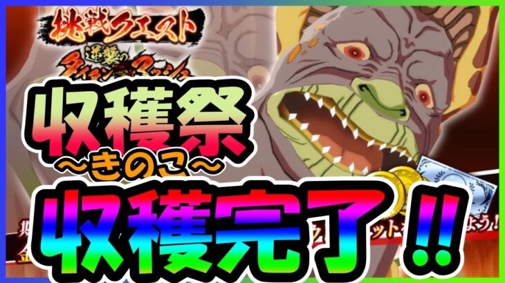 【まおりゅう】キノコ狩り完了！100万金貨はかなり助かるよね【無課金攻略】