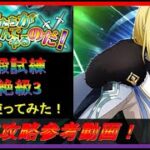 【まおりゅう】ワタシたちが遊んでやるのだ！装鍛試錬超絶級３攻略！（空レオンの試運転）【2022.#91】