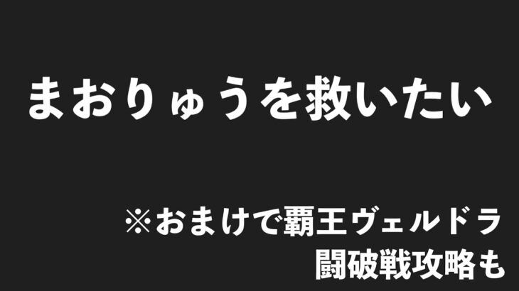 まおりゅうを救いたい　おまけで闘破戦覇王ヴェルドラパ攻略