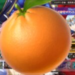 まおりゅう　🍊←全然分かってない！ピックアップすらない1.5周年カウントダウンガチャ引かせようとする人が居るんですよぉぉ！！