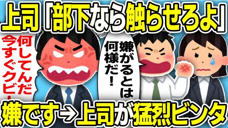 【2ch会社スレ】勘違い上司『俺のこと好きなら触らせろ』→拒否したら発狂して大暴れ→課長登場で社内が修羅場と化した…【ゆっくり解説】