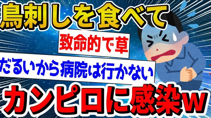 【2ch面白いスレ】鳥刺しを食べてカンピロバクターに感染（4ヶ月ぶり5度目）した結果www【ゆっくり解説】