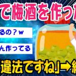 【2ch面白いスレ】自宅で梅酒を作ったら➡結果ww【ゆっくり解説】