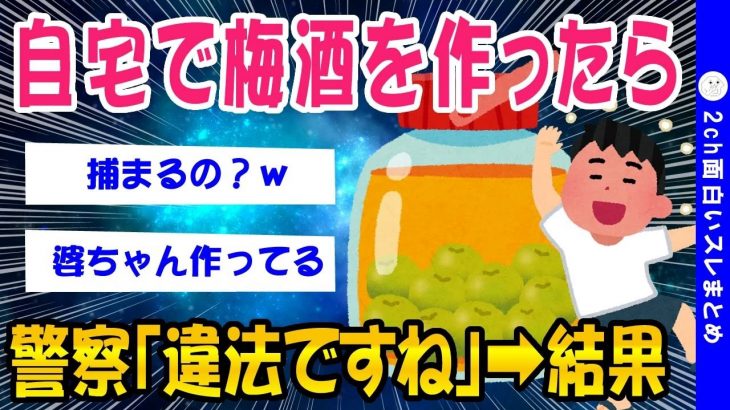 【2ch面白いスレ】自宅で梅酒を作ったら➡結果ww【ゆっくり解説】