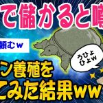 【2ch知識教養スレ】ガチで儲かると噂のスッポン養殖をやってみた結果ww【ゆっくり解説】