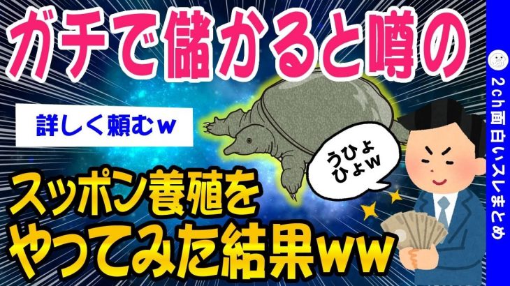 【2ch知識教養スレ】ガチで儲かると噂のスッポン養殖をやってみた結果ww【ゆっくり解説】