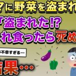 泥ママが野菜を盗む→父親「盗まれた!?あれ食ったらﾀﾋぬぞ!!」→結果…【2ch修羅場スレ・ゆっくり解説】