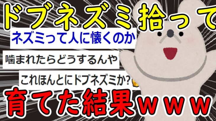 【2ch面白いスレ】ドブネズミを飼育する猛者が現れたｗｗｗ【ゆっくり解説】