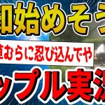 【2ch面白いスレ】公園でエッチ始めそうなカップル実況が衝撃の展開にｗ【ゆっくり解説】