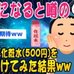 【2ch美容スレ】美肌を目指して500円のハトムギ化粧水を使い続けてみた結果ww【ゆっくり解説】