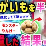 【2ch面白いスレ】ワイの部屋で放ったらかしにされたじゃがいもの姿がヤバすぎるｗｗｗｗ…→「ヒエェェェェ!!!」スレ民絶叫www