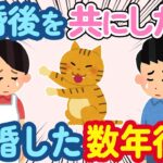 【2ch 感動スレ】離婚してから一緒に生活してきた猫→私が再婚した数年後に…