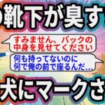 俺の靴下が臭すぎて麻〇犬にマークされた【2ch面白いスレ】