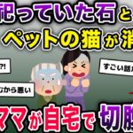 【驚愕】家で祀っていた石とペットの猫が消えた→近所の泥ママが血まみれで発見された【2ch修羅場スレ・ゆっくり解説】