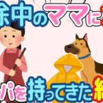 【2ch ほのぼの】犬が掃除しているママに雨ガッパを持ってきた結果w