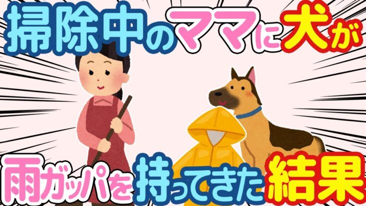 【2ch ほのぼの】犬が掃除しているママに雨ガッパを持ってきた結果w