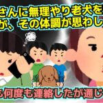 [2ch][仕返し]隣の奥さんに無理やり老いたわんこを預けられたが、その体調が思わしくない。何度も何度も連絡したが通じず…[非常識].