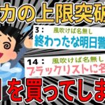 【2ch面白いスレ】クレカの上限10万円のワイ、12万円のiPadを購入してしまうｗｗｗ【ゆっくり解説】