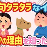 【2ch ほっこり】犬が家族旅行中に文句を言う→夫「じゃあ帰れ」と言ったが、その理由が分かった結果…