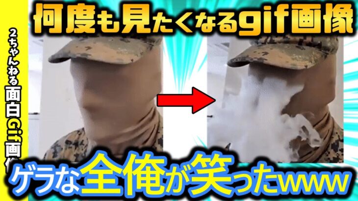 【2ch面白い画像】この何回見ても面白いgifで笑ったら負けでっせwww【コメ付き】