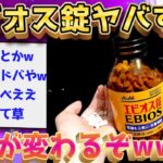 【2ch面白いスレ】なんJ民に騙されてエビオス錠を大量に飲んだ結果www【ゆっくり解説】