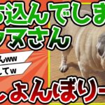 【2ch動物スレ】しょんぼりーヌ、イッヌさん、めちゃくちゃ落ち込んでしまう。。。