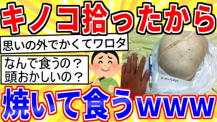 【2ch面白いスレ】めっちょデカいキノコ拾ったから焼いて食うｗｗｗ【ゆっくり解説】