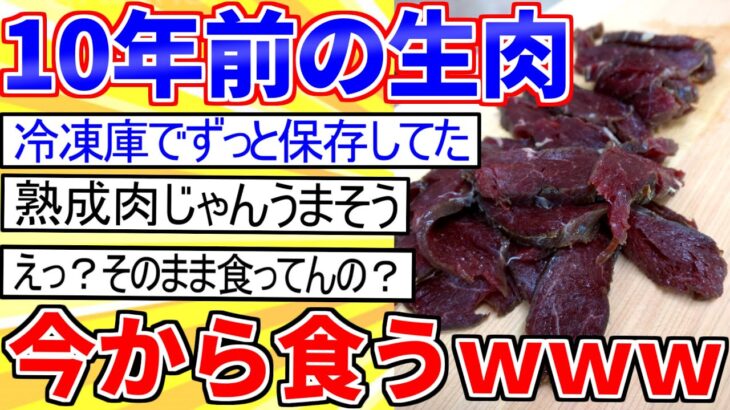 【2ch面白いスレ】10年前の生肉発掘したったｗｗｗ【ゆっくり解説】