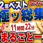 【ｷﾓ面白い2chスレ】驚異の11時間超 総集編！2022年ベストランキングTOP22爆笑から感動まで2chネタ総まとめ【作業用】[ ゆっくり解説 ]