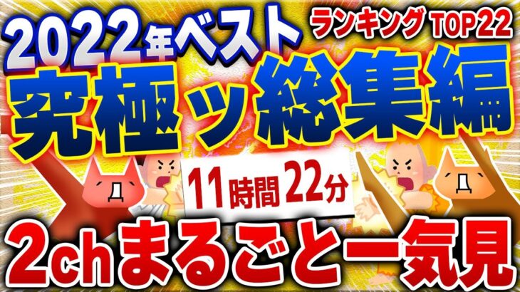 【ｷﾓ面白い2chスレ】驚異の11時間超 総集編！2022年ベストランキングTOP22爆笑から感動まで2chネタ総まとめ【作業用】[ ゆっくり解説 ]