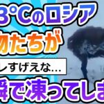 【2ch面白いスレ】マイナス53℃のロシア、動物たちが一瞬で凍ってしまうｗｗｗ