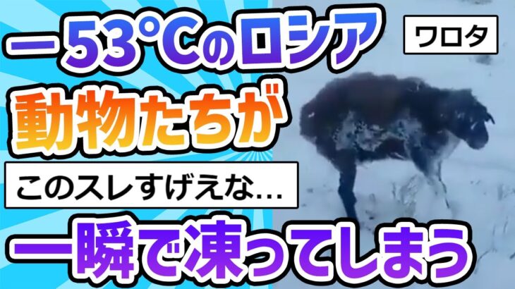 【2ch面白いスレ】マイナス53℃のロシア、動物たちが一瞬で凍ってしまうｗｗｗ