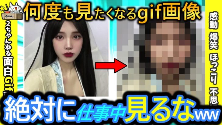 【2ch面白いgif】このおもしろGIFで笑ったりにやけたら負けwww【コメ付き】