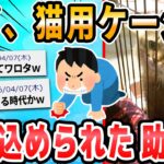 【2ch面白いスレ】俺氏、猫用のゲージに入るも出れなくて泣く