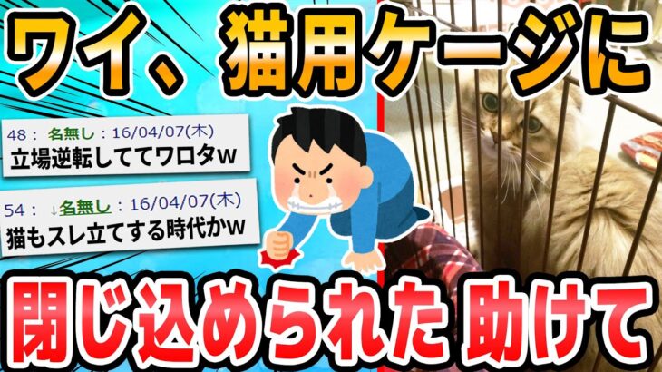 【2ch面白いスレ】俺氏、猫用のゲージに入るも出れなくて泣く