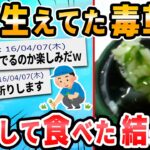 【2ch面白いスレ】謎草粥つくるよｗｗｗ