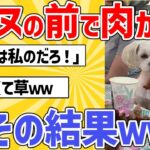 【2ch動物スレ】イッヌに肉を見せつけながら食う→その結果ｗｗｗ