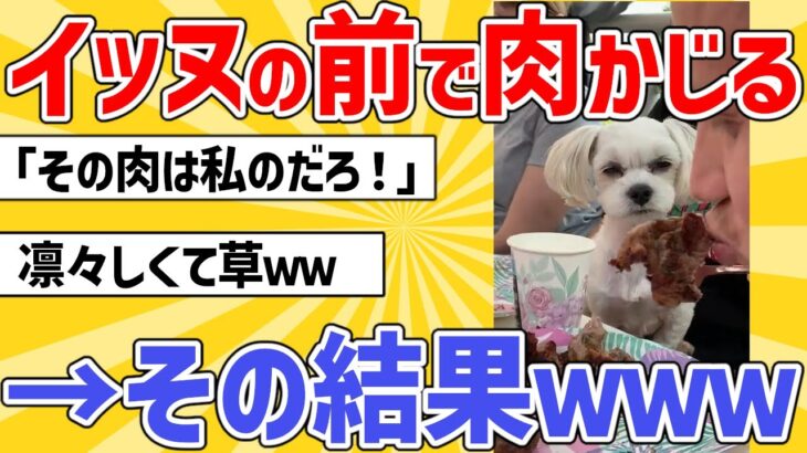 【2ch動物スレ】イッヌに肉を見せつけながら食う→その結果ｗｗｗ