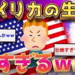 【2ch面白いスレ】経済大国アメリカで暮らしてるけどイッチ←辛すぎる実態を暴露ww【ゆっくり解説】