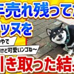 【2ch動物スレ】半年間売れ残りだった柴犬を引き取った結果www