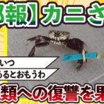 【2ch動物スレ】【郎報】カニさん、人類への復讐を果たすｗｗｗｗｗｗｗｗｗｗｗｗ