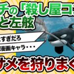 【2ch動物スレ】シャチの「殺し屋コンビ」が南アのホオジロザメを次々と狩りまくっている