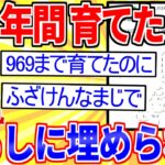 【2ch伝説のスレ】ワイが15年かけて969まで育てたスレ、荒らしに埋められる【ゆっくり解説】